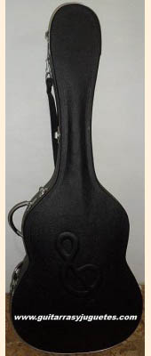 estuche reforzado para guitarra vista cerrado
